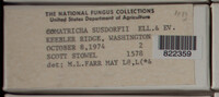 Image Associated With the Occurence